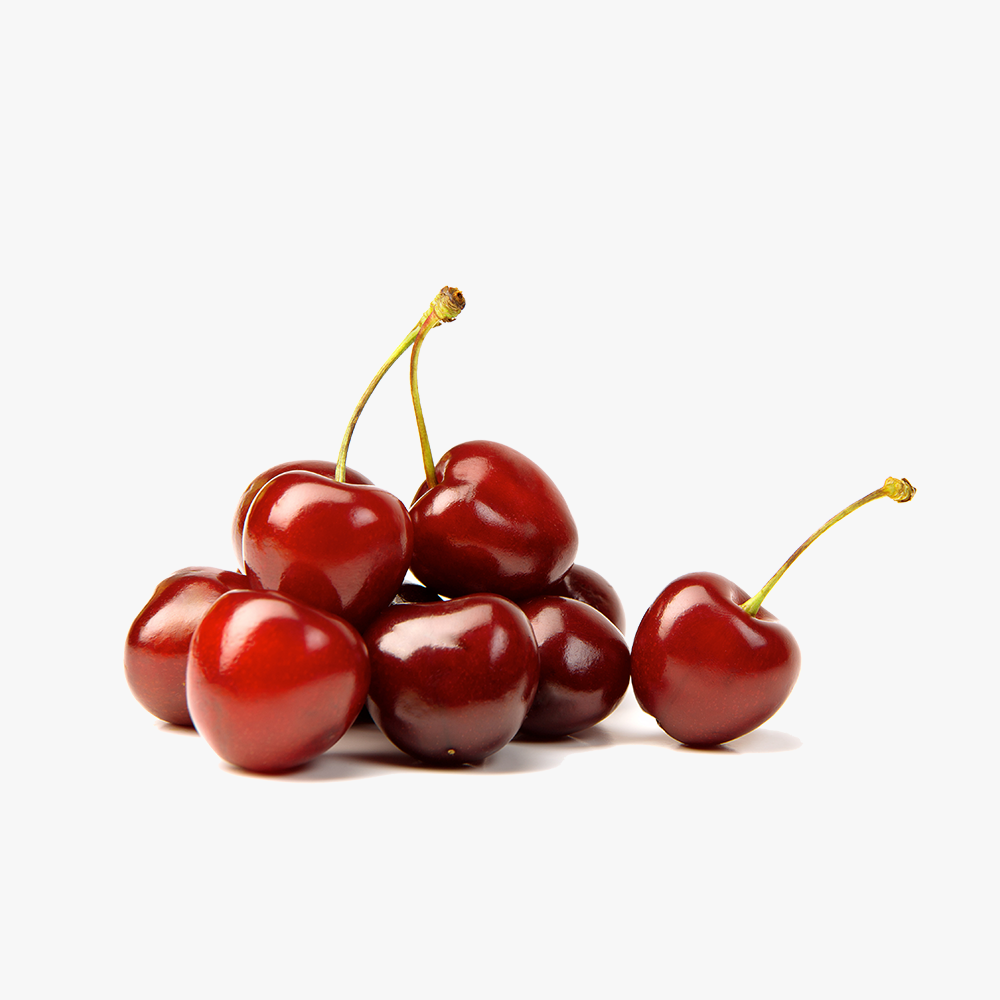 Organic_components_4